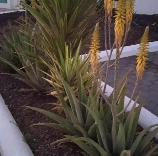 Blue View Hermoso Remodelado Ubicacion Ideal Daire Costa Teguise