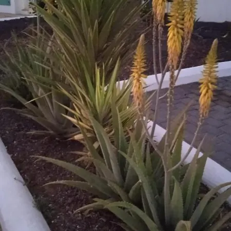 Blue View Hermoso Remodelado Ubicacion Ideal Daire Costa Teguise